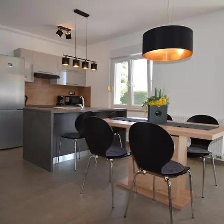 Summer Breeze By Guide イカ